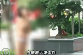 辉县企业清欠服务